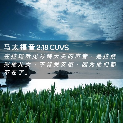 Picture 02 - 马 太 福 音 2:18 CUVS - 在 拉 玛 听 见 号 啕 大 哭 的 声 音 - Bible Verse Picture