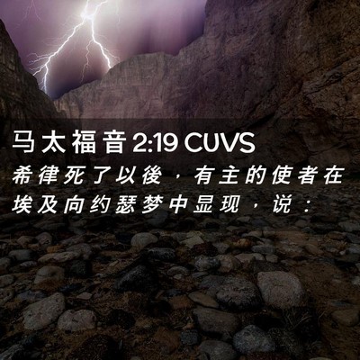 Picture 02 - 马 太 福 音 2:19 CUVS - 希 律 死 了 以 後 ， 有 主 的 使 者 - Bible Verse Picture