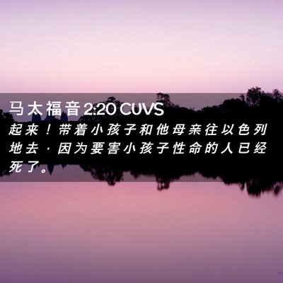 Picture 02 - 马 太 福 音 2:20 CUVS - 起 来 ！ 带 着 小 孩 子 和 他 母 亲 - Bible Verse Picture
