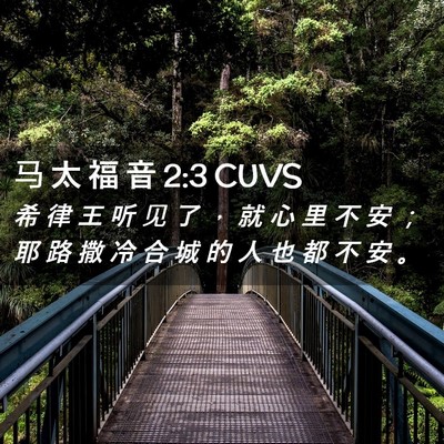 Picture 02 - 马 太 福 音 2:3 CUVS - 希 律 王 听 见 了 ， 就 心 里 不 安 - Bible Verse Picture