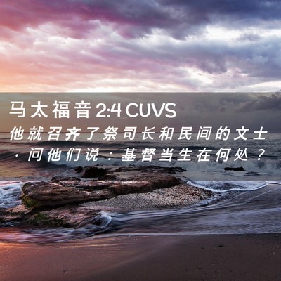 Picture 02 - 马 太 福 音 2:4 CUVS - 他 就 召 齐 了 祭 司 长 和 民 间 的 - Bible Verse Picture