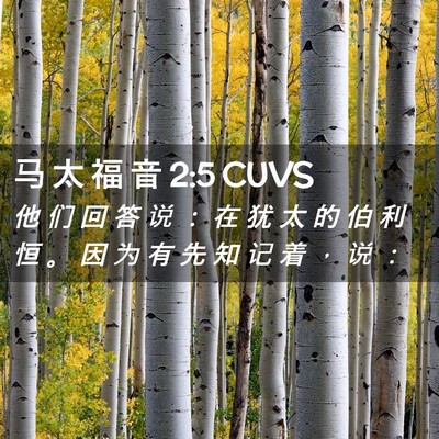 Picture 02 - 马 太 福 音 2:5 CUVS - 他 们 回 答 说 ： 在 犹 太 的 伯 利 - Bible Verse Picture