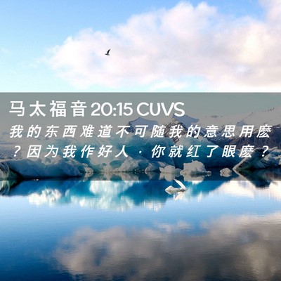 Picture 02 - 马 太 福 音 20:15 CUVS - 我 的 东 西 难 道 不 可 随 我 的 意 - Bible Verse Picture