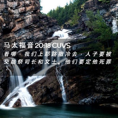 Picture 02 - 马 太 福 音 20:18 CUVS - 看 哪 ， 我 们 上 耶 路 撒 冷 去 ， - Bible Verse Picture