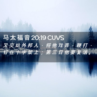 Picture 02 - 马 太 福 音 20:19 CUVS - 又 交 给 外 邦 人 ， 将 他 戏 弄 ， - Bible Verse Picture