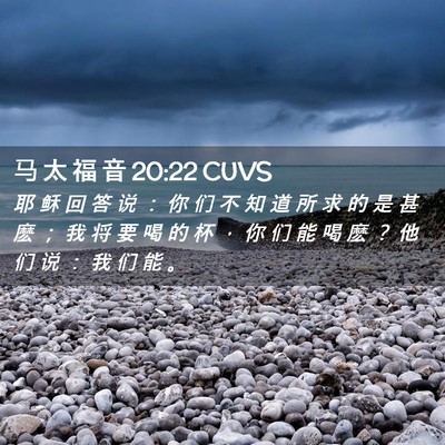 Picture 02 - 马 太 福 音 20:22 CUVS - 耶 稣 回 答 说 ： 你 们 不 知 道 所 - Bible Verse Picture