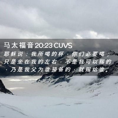 Picture 02 - 马 太 福 音 20:23 CUVS - 耶 稣 说 ： 我 所 喝 的 杯 ， 你 们 - Bible Verse Picture