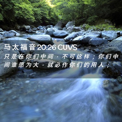 Picture 02 - 马 太 福 音 20:26 CUVS - 只 是 在 你 们 中 间 ， 不 可 这 样 - Bible Verse Picture