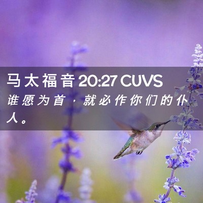 Picture 02 - 马 太 福 音 20:27 CUVS - 谁 愿 为 首 ， 就 必 作 你 们 的 仆 - Bible Verse Picture