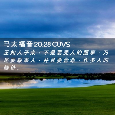 Picture 02 - 马 太 福 音 20:28 CUVS - 正 如 人 子 来 ， 不 是 要 受 人 的 - Bible Verse Picture