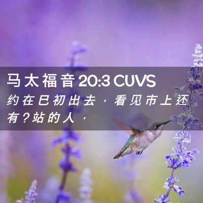 Picture 02 - 马 太 福 音 20:3 CUVS - 约 在 巳 初 出 去 ， 看 见 市 上 还 - Bible Verse Picture