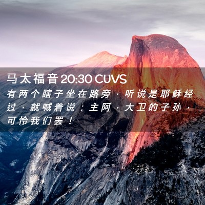 Picture 02 - 马 太 福 音 20:30 CUVS - 有 两 个 瞎 子 坐 在 路 旁 ， 听 说 - Bible Verse Picture