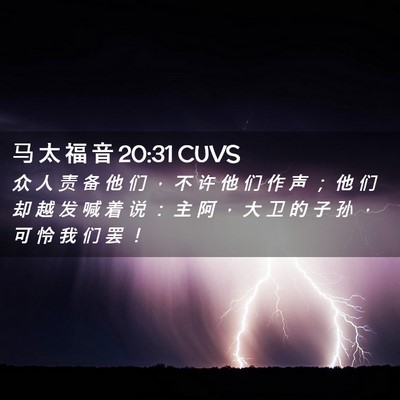 Picture 02 - 马 太 福 音 20:31 CUVS - 众 人 责 备 他 们 ， 不 许 他 们 作 - Bible Verse Picture