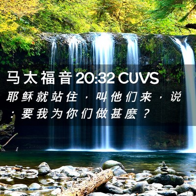 Picture 02 - 马 太 福 音 20:32 CUVS - 耶 稣 就 站 住 ， 叫 他 们 来 ， 说 - Bible Verse Picture