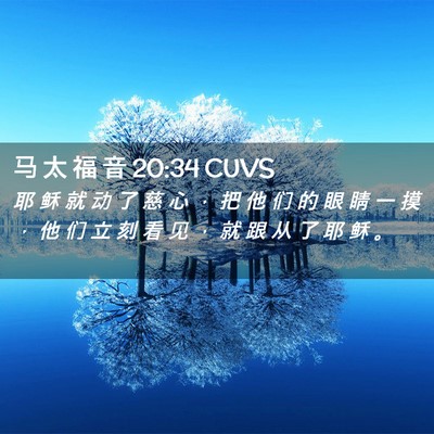 Picture 02 - 马 太 福 音 20:34 CUVS - 耶 稣 就 动 了 慈 心 ， 把 他 们 的 - Bible Verse Picture