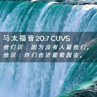 Picture 02 - 马 太 福 音 20:7 CUVS - 他 们 说 ： 因 为 没 有 人 雇 我 们 - Bible Verse Picture