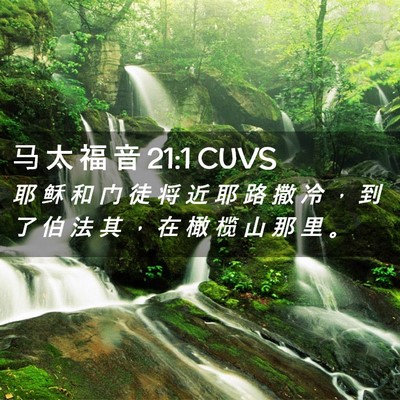 Picture 02 - 马 太 福 音 21:1 CUVS - 耶 稣 和 门 徒 将 近 耶 路 撒 冷 ， - Bible Verse Picture