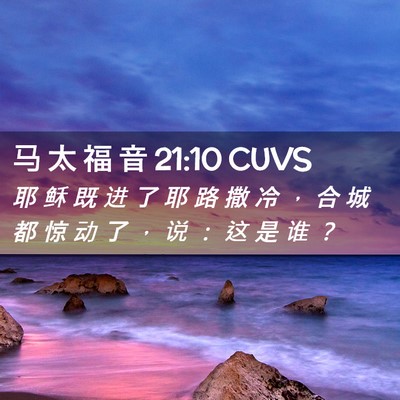 Picture 02 - 马 太 福 音 21:10 CUVS - 耶 稣 既 进 了 耶 路 撒 冷 ， 合 城 - Bible Verse Picture
