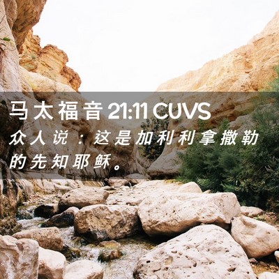 Picture 02 - 马 太 福 音 21:11 CUVS - 众 人 说 ： 这 是 加 利 利 拿 撒 勒 - Bible Verse Picture