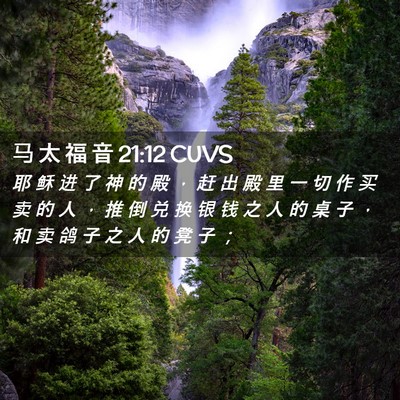 Picture 02 - 马 太 福 音 21:12 CUVS - 耶 稣 进 了 神 的 殿 ， 赶 出 殿 里 - Bible Verse Picture
