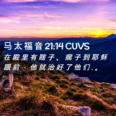 Picture 02 - 马 太 福 音 21:14 CUVS - 在 殿 里 有 瞎 子 、 瘸 子 到 耶 稣 - Bible Verse Picture