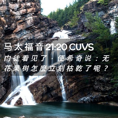 Picture 02 - 马 太 福 音 21:20 CUVS - 门 徒 看 见 了 ， 便 希 奇 说 ： 无 - Bible Verse Picture