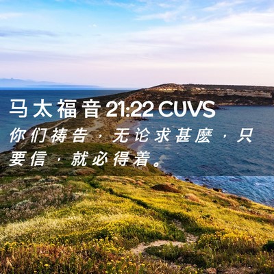 Picture 02 - 马 太 福 音 21:22 CUVS - 你 们 祷 告 ， 无 论 求 甚 麽 ， 只 - Bible Verse Picture