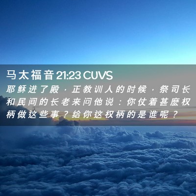 Picture 02 - 马 太 福 音 21:23 CUVS - 耶 稣 进 了 殿 ， 正 教 训 人 的 时 - Bible Verse Picture
