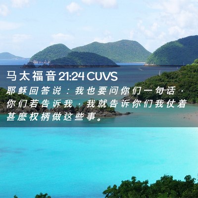 Picture 02 - 马 太 福 音 21:24 CUVS - 耶 稣 回 答 说 ： 我 也 要 问 你 们 - Bible Verse Picture