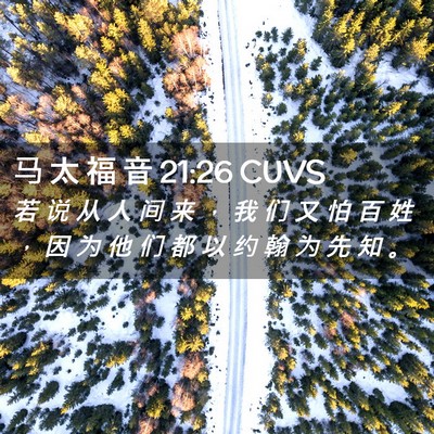 Picture 02 - 马 太 福 音 21:26 CUVS - 若 说 从 人 间 来 ， 我 们 又 怕 百 - Bible Verse Picture