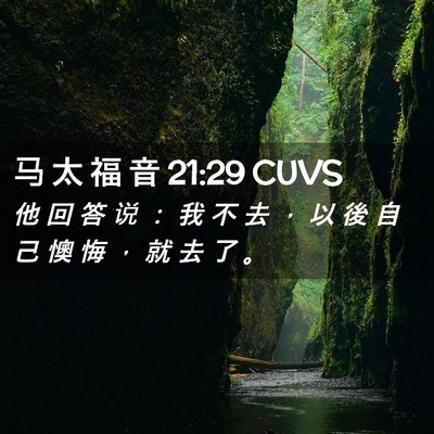 Picture 02 - 马 太 福 音 21:29 CUVS - 他 回 答 说 ： 我 不 去 ， 以 後 自 - Bible Verse Picture