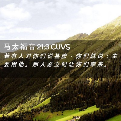 Picture 02 - 马 太 福 音 21:3 CUVS - 若 有 人 对 你 们 说 甚 麽 ， 你 们 - Bible Verse Picture