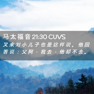 Picture 02 - 马 太 福 音 21:30 CUVS - 又 来 对 小 儿 子 也 是 这 样 说 。 - Bible Verse Picture