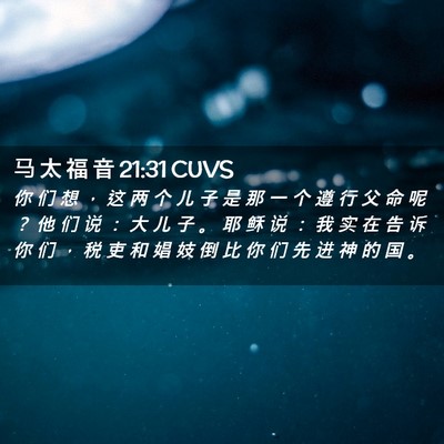 Picture 02 - 马 太 福 音 21:31 CUVS - 你 们 想 ， 这 两 个 儿 子 是 那 一 - Bible Verse Picture
