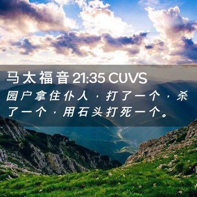 Picture 02 - 马 太 福 音 21:35 CUVS - 园 户 拿 住 仆 人 ， 打 了 一 个 ， - Bible Verse Picture