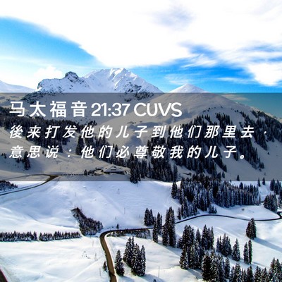 Picture 02 - 马 太 福 音 21:37 CUVS - 後 来 打 发 他 的 儿 子 到 他 们 那 - Bible Verse Picture