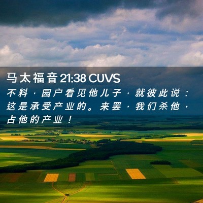 Picture 02 - 马 太 福 音 21:38 CUVS - 不 料 ， 园 户 看 见 他 儿 子 ， 就 - Bible Verse Picture