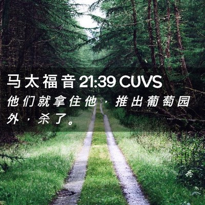 Picture 02 - 马 太 福 音 21:39 CUVS - 他 们 就 拿 住 他 ， 推 出 葡 萄 园 - Bible Verse Picture