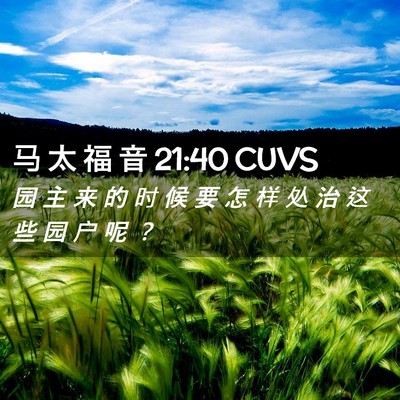 Picture 02 - 马 太 福 音 21:40 CUVS - 园 主 来 的 时 候 要 怎 样 处 治 这 - Bible Verse Picture