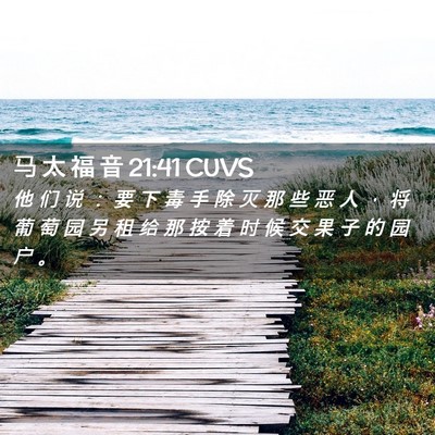 Picture 02 - 马 太 福 音 21:41 CUVS - 他 们 说 ： 要 下 毒 手 除 灭 那 些 - Bible Verse Picture