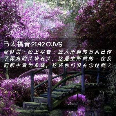 Picture 02 - 马 太 福 音 21:42 CUVS - 耶 稣 说 ： 经 上 写 着 ： 匠 人 所 - Bible Verse Picture