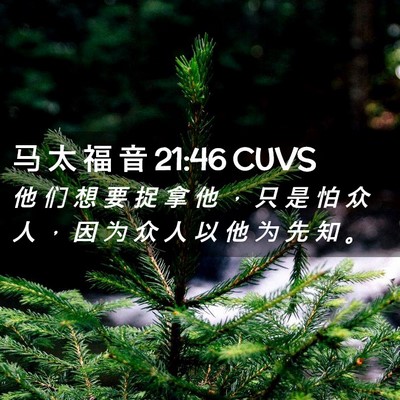 Picture 02 - 马 太 福 音 21:46 CUVS - 他 们 想 要 捉 拿 他 ， 只 是 怕 众 - Bible Verse Picture