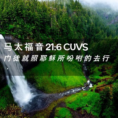 Picture 02 - 马 太 福 音 21:6 CUVS - 门 徒 就 照 耶 稣 所 吩 咐 的 去 行 - Bible Verse Picture