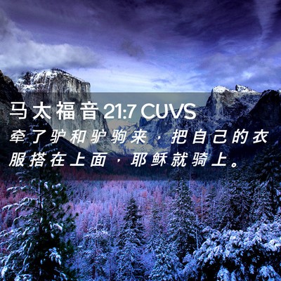 Picture 02 - 马 太 福 音 21:7 CUVS - 牵 了 驴 和 驴 驹 来 ， 把 自 己 的 - Bible Verse Picture