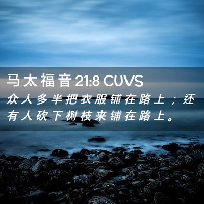 Picture 02 - 马 太 福 音 21:8 CUVS - 众 人 多 半 把 衣 服 铺 在 路 上 ； - Bible Verse Picture