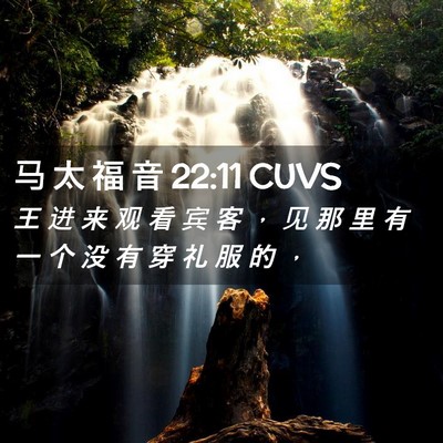 Picture 02 - 马 太 福 音 22:11 CUVS - 王 进 来 观 看 宾 客 ， 见 那 里 有 - Bible Verse Picture