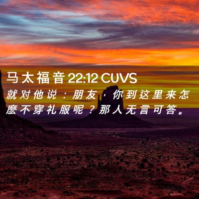 Picture 02 - 马 太 福 音 22:12 CUVS - 就 对 他 说 ： 朋 友 ， 你 到 这 里 - Bible Verse Picture