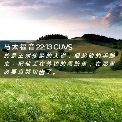 Picture 02 - 马 太 福 音 22:13 CUVS - 於 是 王 对 使 唤 的 人 说 ： 捆 起 - Bible Verse Picture
