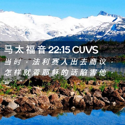 Picture 02 - 马 太 福 音 22:15 CUVS - 当 时 ， 法 利 赛 人 出 去 商 议 ， - Bible Verse Picture