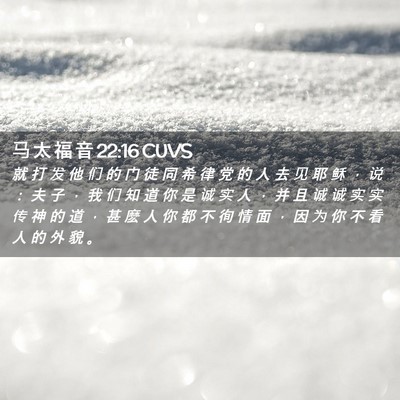 Picture 02 - 马 太 福 音 22:16 CUVS - 就 打 发 他 们 的 门 徒 同 希 律 党 - Bible Verse Picture